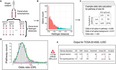 A Single-Subject Method to Detect Pathways Enriched With Alternatively Spliced Genes